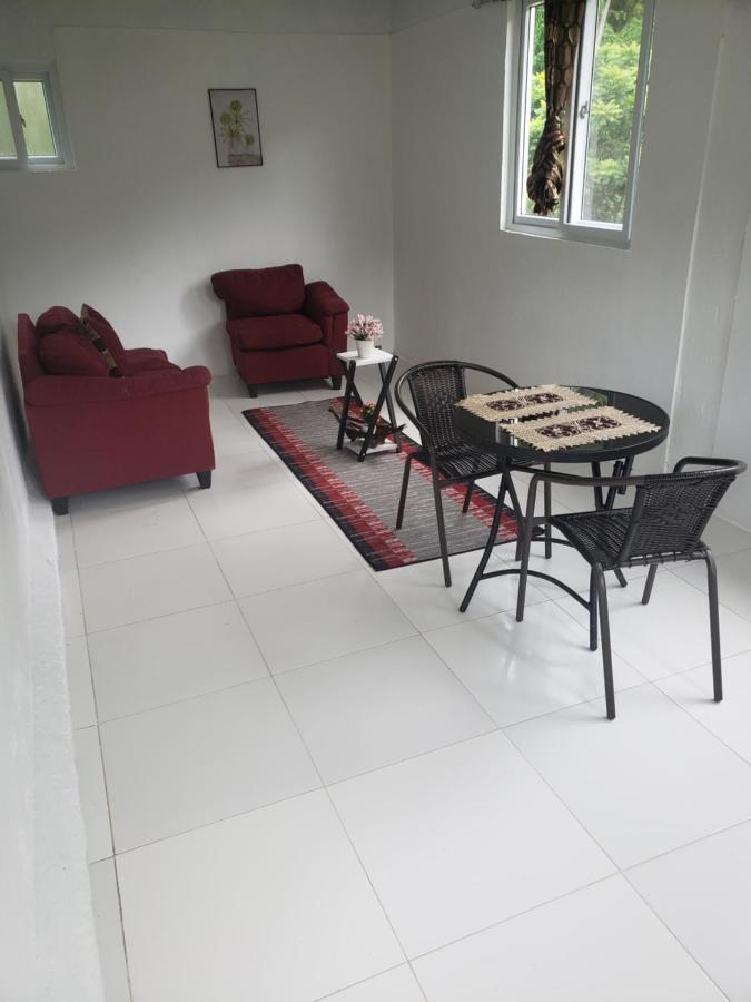 Zaboca Apartment Roseau Eksteriør billede