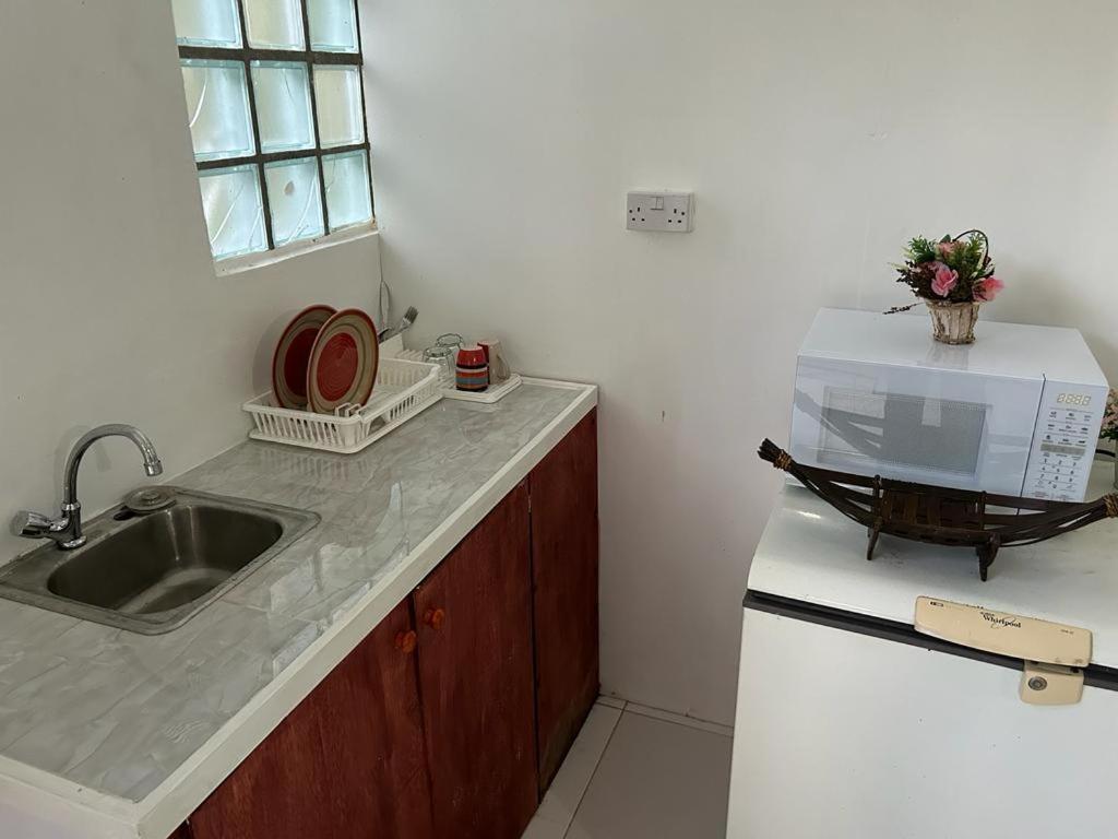 Zaboca Apartment Roseau Værelse billede