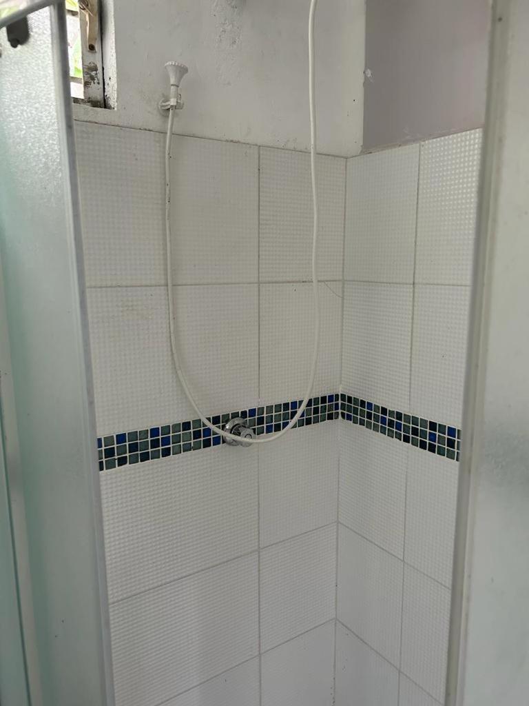 Zaboca Apartment Roseau Værelse billede