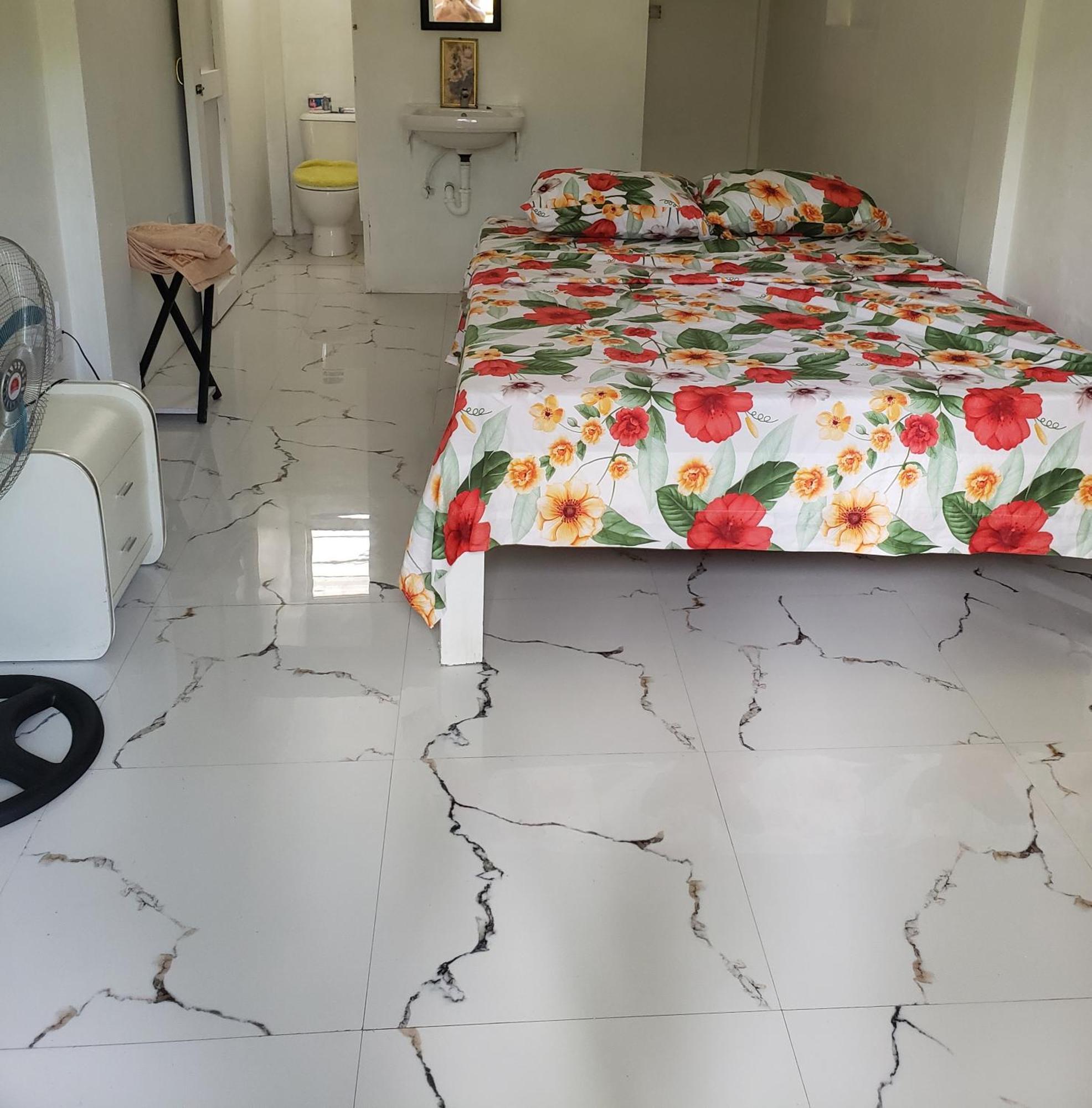 Zaboca Apartment Roseau Værelse billede